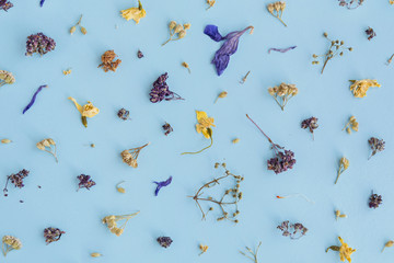 Dried flowers pattern on blue background. Floral pattern.