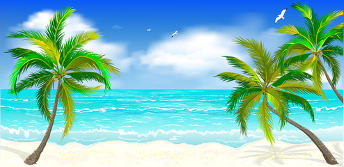 Tropical beach, palm trees                                                                                                                                                      