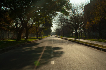 Calle de otoño