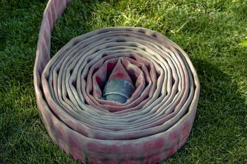 Single fire hose rolled up on grass
