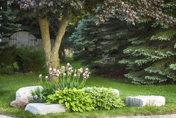 Home garden in summer time