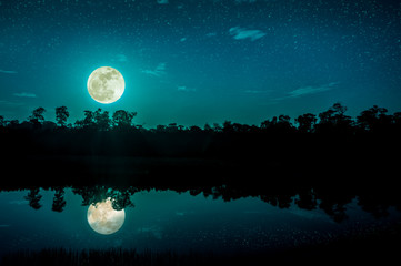 Fantasy sky and bright full moon above silhouettes of trees and lake.