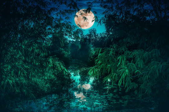 Tranquil river with full moon and bamboo trees. Serenity nature background.