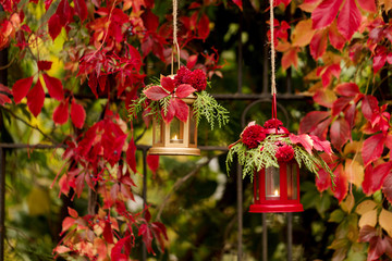 Fototapeta na wymiar Fall time. Autumn decoration. Candlesticks in the form of lanterns with daisy decor, juniper and autumn red leaves.