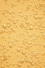 bubbles of champagne