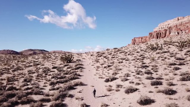 Drone following a photographer walking along a path in an arid wasteland