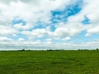 OK Field and Sky