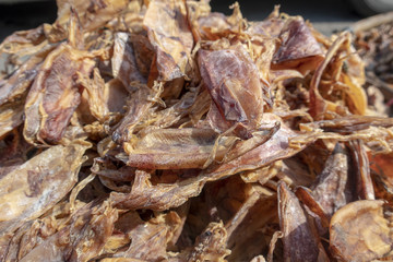 Sun dried cuttlefish as local food in Thailand