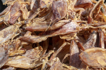 Sun dried cuttlefish as local food in Thailand