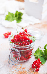 red currant