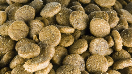 Croccantini per cane