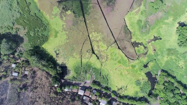 Ramsar Site Aerial Drone Footage ProRes 422 