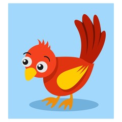 cute little red bird mascot cartoon character