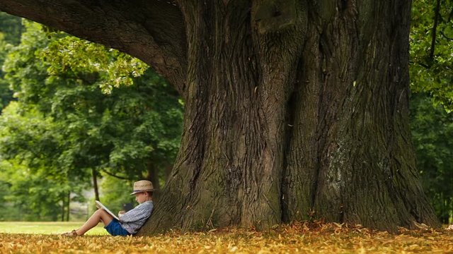 Little boy sits under the tree on a sunny day and reads a book