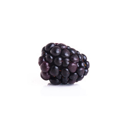 blackberry isolated on a white background