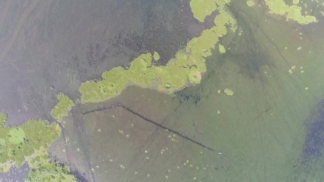 Ramsar Site Aerial Drone Footage ProRes 422 