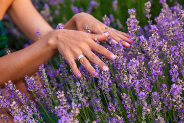 rural landscape with lavender bushes