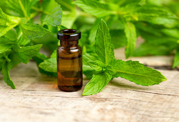 Natural Mint essential oil in a glass bottle with fresh min leaves on a wooden background.