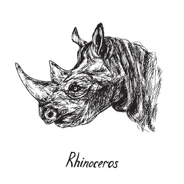 Rhino portrait, hand drawn ink doodle, sketch, vector black and white illustration