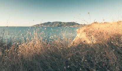 Dry grass with still sea on a background - Powered by Adobe