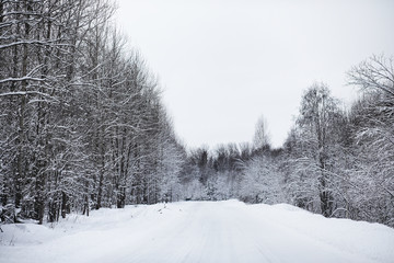 Landscape in the winter cloudy day