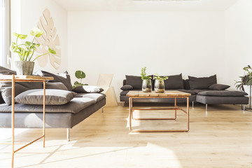 Stylish scandinavian interior with  design sofa, wooden table. Bright and sunny room with plants and brown wooden parquet.