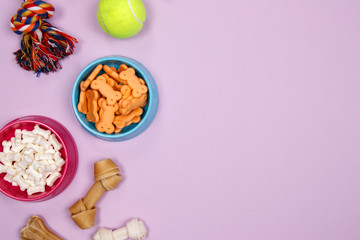 Dog accessories, food and toy on purple background. Flat lay. Top view.