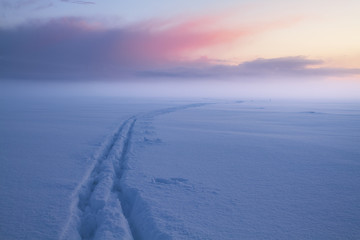 ski trail in the snow on a foggy evening