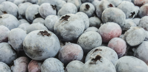 Blueberry with drops of water