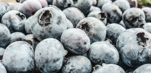 Blueberry with drops of water