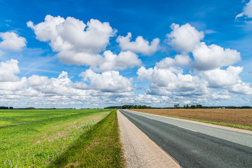Fototapeta premium Green grass field, asphalt road and bright blue sky. Dobele, Latvia