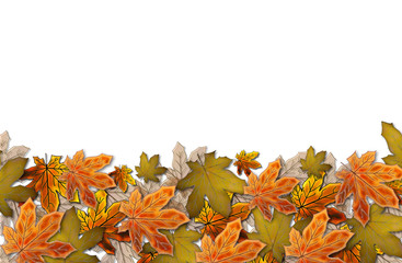 красивые желтые осенние листья на белом фоне             