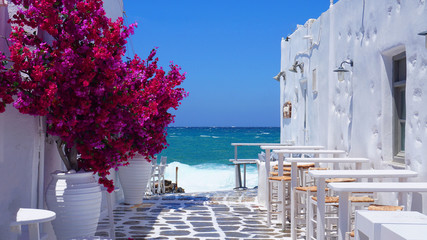 Photo of beautiful bougainvillea flower with awesome colors in picturesque Greek island with deep...