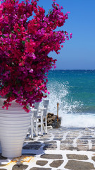 Photo of beautiful bougainvillea flower with awsome colors in picturesque Greek island with deep blue waves, Naousa, Paros island, Cyclades, Greece - obrazy, fototapety, plakaty