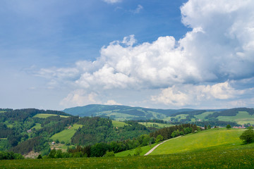Fototapeta na wymiar Germany, Green hilly black forest nature landscape on Lindenberg