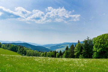 Germany, Endless green nature landscape panorama in black forest holiday region - obrazy, fototapety, plakaty