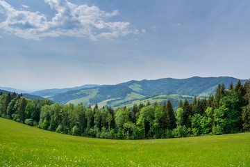 Fototapeta na wymiar Germany, Black forest hiking landscape panorama