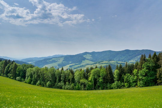 Germany, Black forest hiking landscape panorama