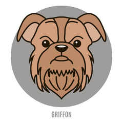 Portrait of Griffon. Vector illustration in style of flat