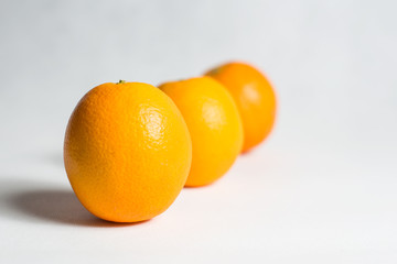 Oranges Still Life