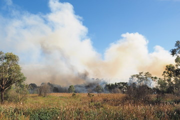 Bushland with heavy smoke from a fire in an suburban area of Knox City in Melbourne east.