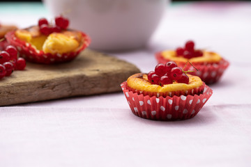 Mini Törtchen mit frischen Johannisbeeren