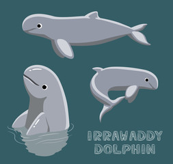 Fototapeta premium Irrawaddy Dolphin Cartoon Vector Illustration