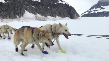dogsled start off and break - Alaska