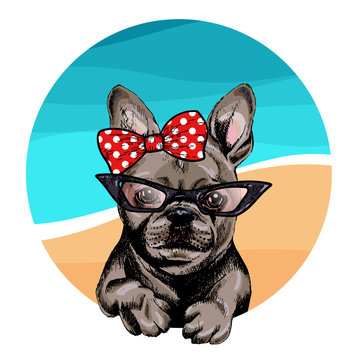 Vector portrait of French bulldog dog wearing sunglasses and retro bow. Summer fashion illustration. Vacation, sea, beach, ocean. Hand drawn pet portait. Poster, t-shirt print, holiday, summertime.