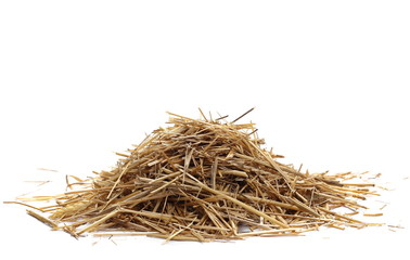 Straw pile isolated on white background and texture