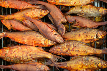 Obraz premium river fish lies in the smokehouse, which stands on the grass