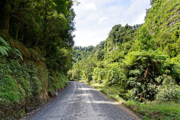 Fototapeta na wymiar Forgotten World Highway in Taranaki, New Zealand