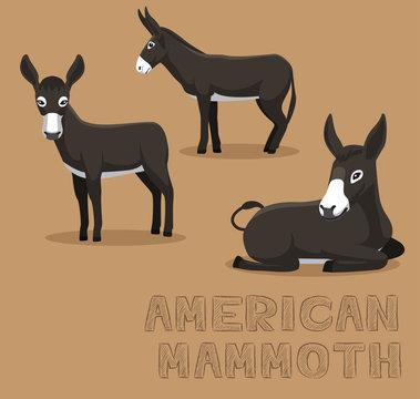 Donkey American Mammoth Cartoon Vector Illustration