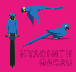 Naklejka premium Parrot Hyacinth Macaw Cartoon Vector Illustration